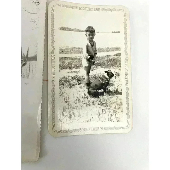 VTG 27 B&W Photographs Travel Animals Wildlife Grave Cars Farming 40's Ephemera - Picture 15 of 16